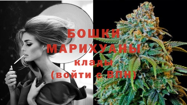 ГАЛЛЮЦИНОГЕННЫЕ ГРИБЫ Балабаново
