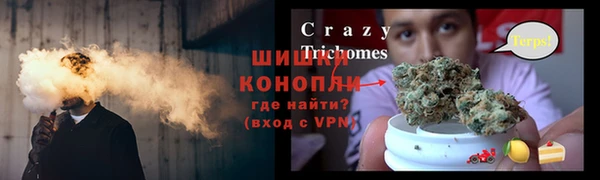 ГАЛЛЮЦИНОГЕННЫЕ ГРИБЫ Балабаново