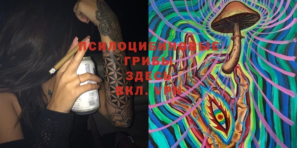 ГАЛЛЮЦИНОГЕННЫЕ ГРИБЫ Балабаново