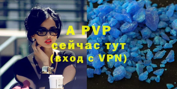 apvp Верея