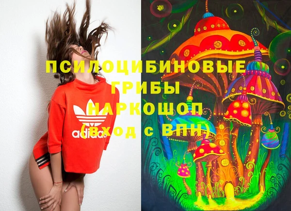 ГАЛЛЮЦИНОГЕННЫЕ ГРИБЫ Балабаново