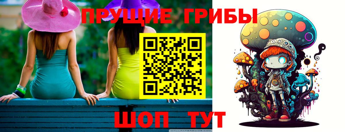 Псилоцибиновые грибы GOLDEN TEACHER Бутурлиновка