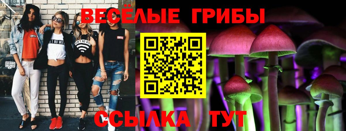 Бутурлиновка  Псилоцибиновые грибы ЛСД  купить   Вход с VPN 
